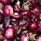 Dried Strawflower Heads (Burgundy)