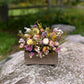 Dried Flower Meadow Box