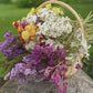 Statice Dried Flower Stems (White)