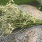 Delicate White Wildflower Dried Wedding Bouquet