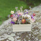 Dried Flower Mini Meadow Box